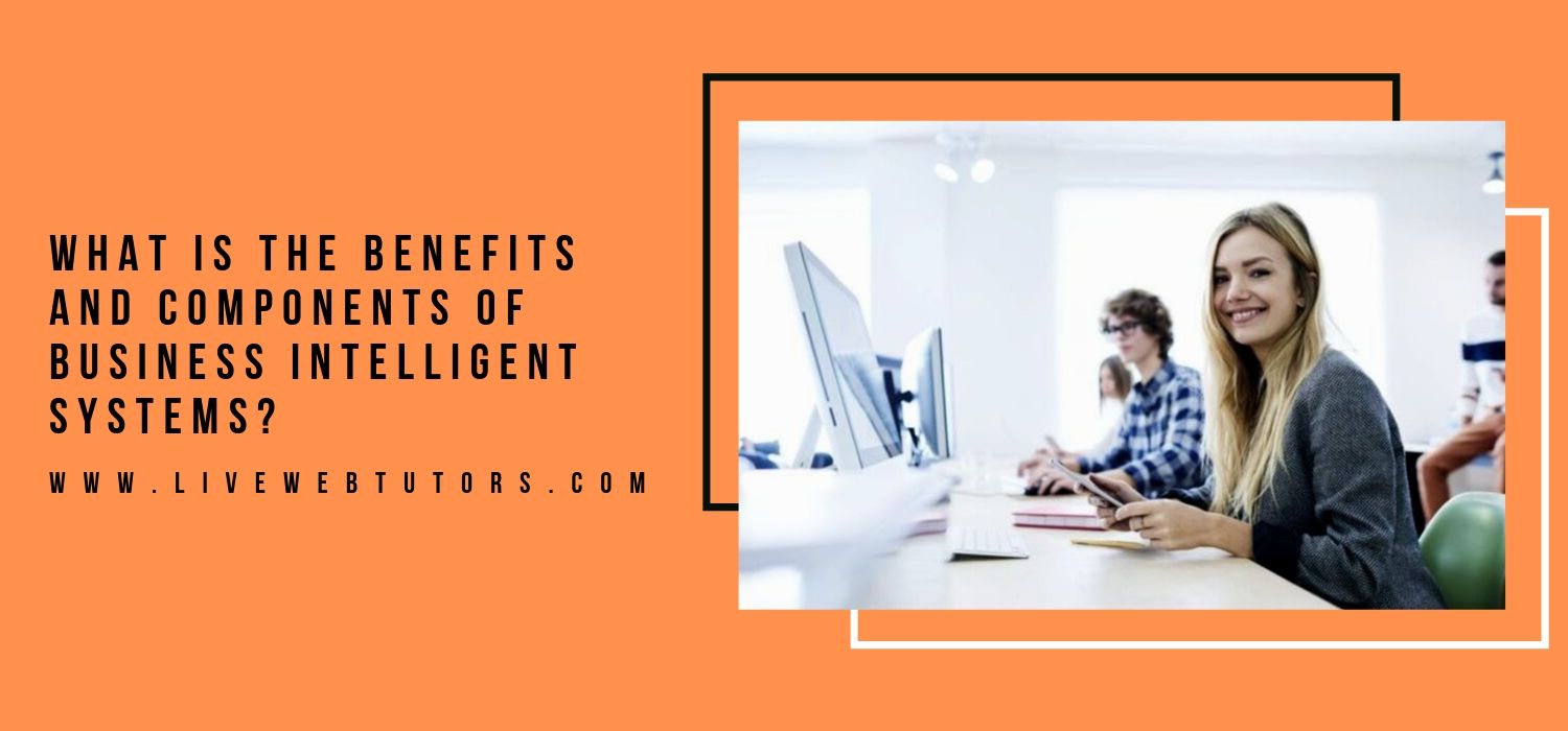 What is the Benefits and Components of Business Intelligent Systems?